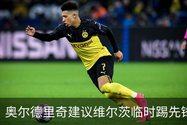 奥尔德里奇建议维尔茨临时踢先锋位置